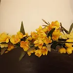 La Mimosa Di Frühstückspension 4*