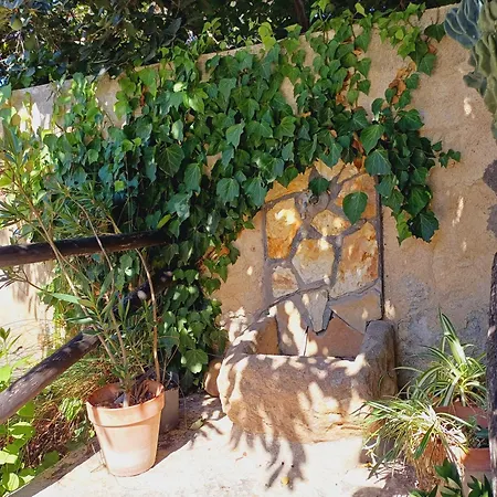 La Mimosa Di 4*