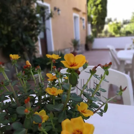 La Mimosa Di 住宿加早餐酒店 4*