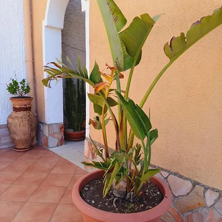La Mimosa Di 4*