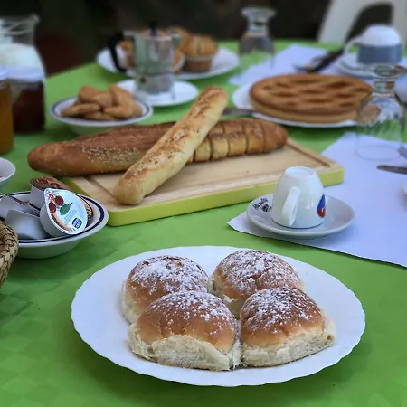 La Mimosa Di