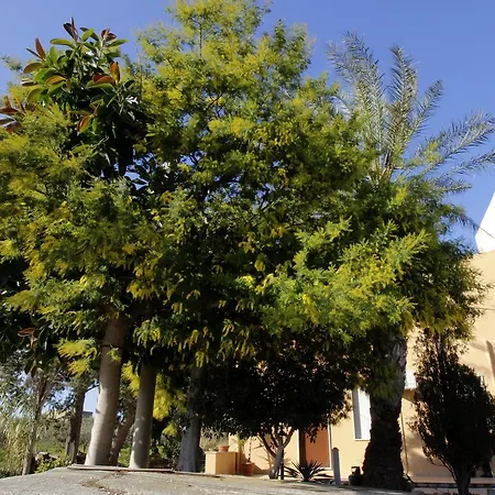 La Mimosa Di