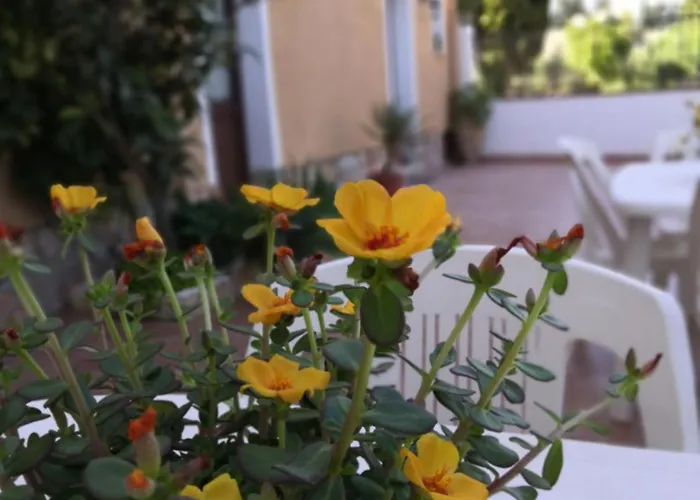 La Mimosa Di Panzió 4*