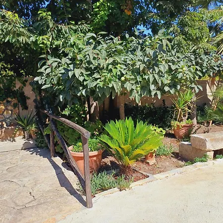 Bed and breakfast La Mimosa Di