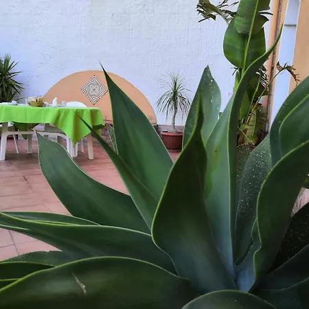 Bed & Breakfast La Mimosa Di Erice