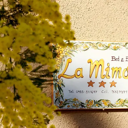 La Mimosa Di