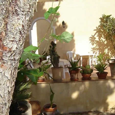 Bed and breakfast La Mimosa Di