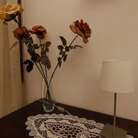 La Mimosa Di Bed and breakfast